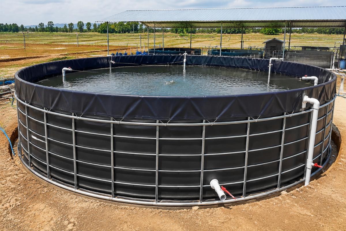 A newly installed round biofloc tank with custom PVC membrane liner in an open farm setting
