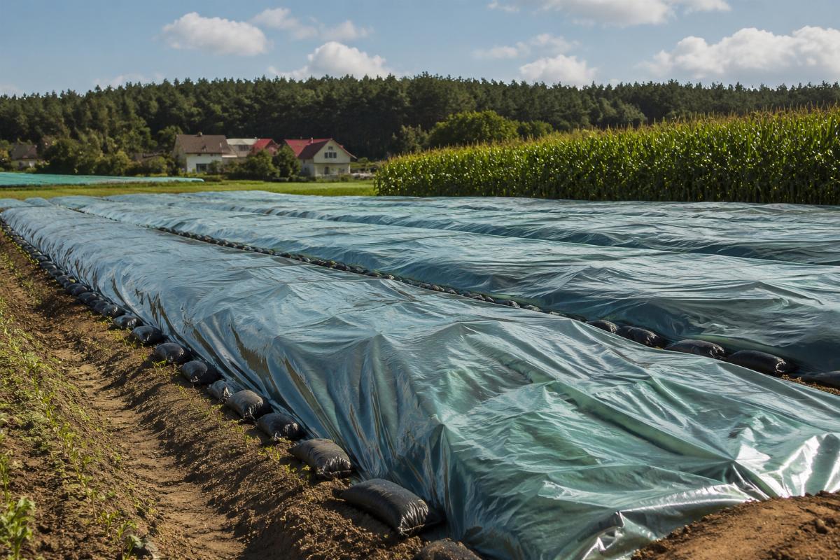 Heavy duty PE tarps used for agricultural crop protection