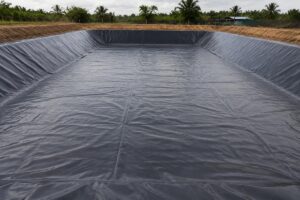 PVC fish pond liner laid over a leveled sand base in a newly constructed tilapia pond