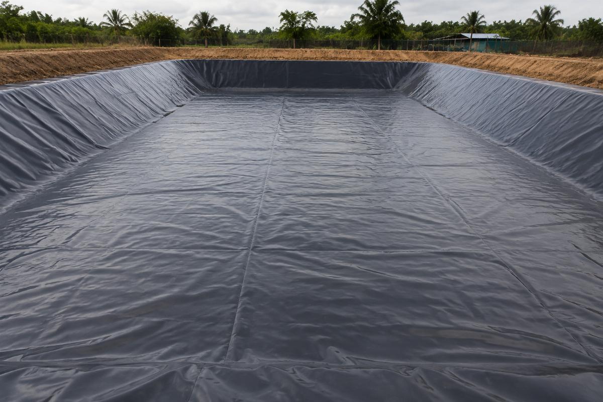 PVC fish pond liner laid over a leveled sand base in a newly constructed tilapia pond